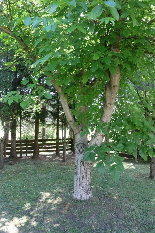 Holiday Home "Iris" Near Plitvice Lakes Rudanovac Eksteriør billede